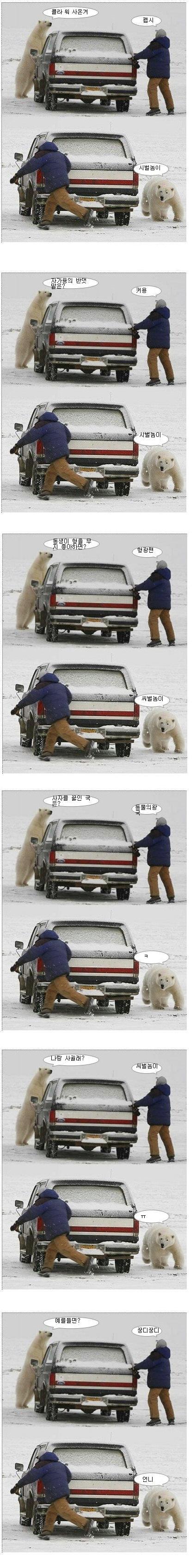 백곰