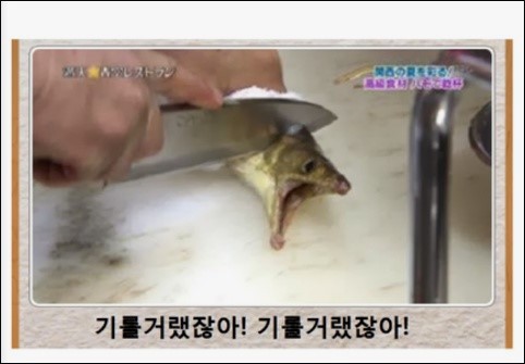 (이벵참여)웃긴스샷^^