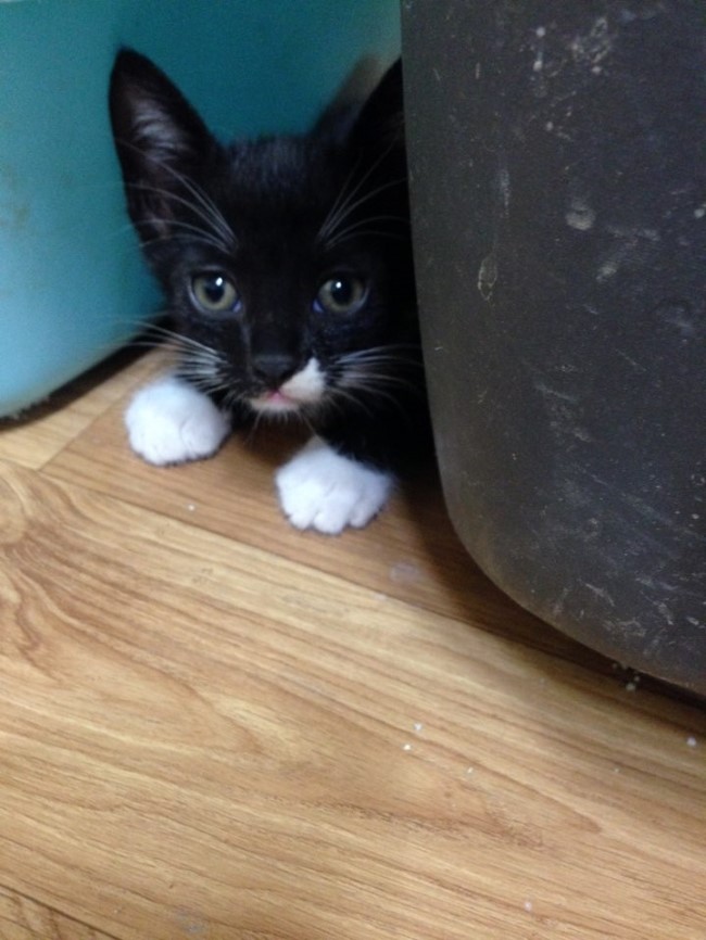 KakaoTalk_20150825_013943885.jpg