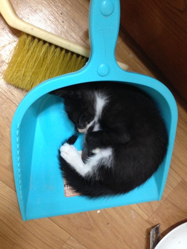 KakaoTalk_20150825_013945060.jpg