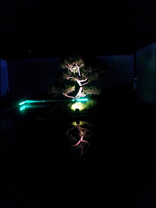 20150829_202357.jpg