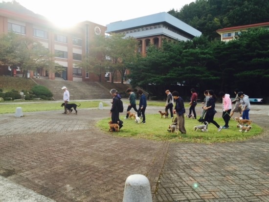 P20151007_163242602_04D0B424-322E-4ECE-8F26-D553E5BED7A8.JPG