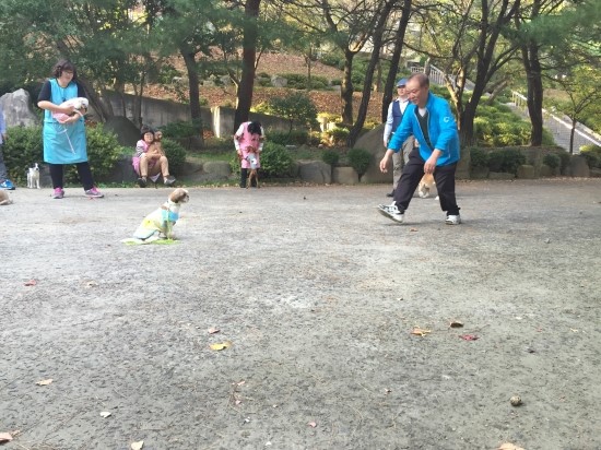 P20151014_155152917_9F313159-F744-466C-A7BD-826C4B369D93.JPG