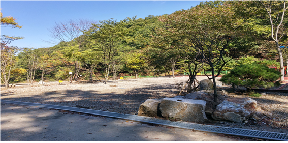 용인랜드숲속캠핑장 이미지