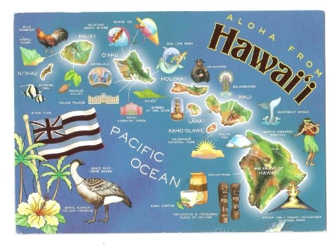 린님, 하와이 지도 엽서 도착했어요!