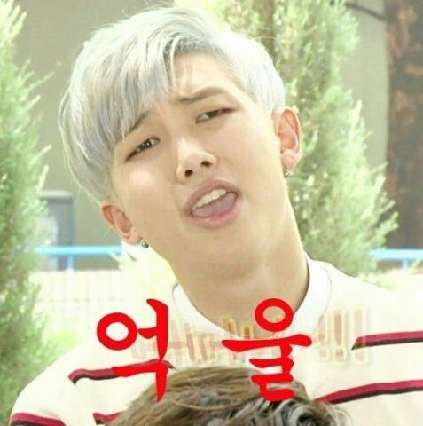 인터넷에서 배운 잡지식들로 스스로 톤궁예 해보는 과정 | 인스티즈