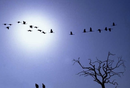 삶이 힘겨울 때 해볼 7가지 | 인스티즈