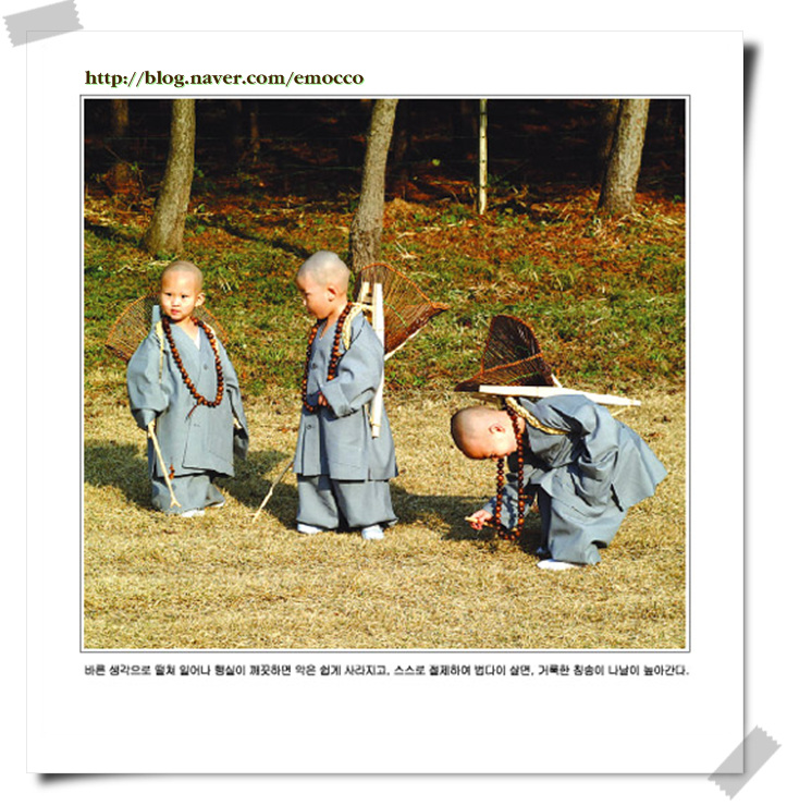 dongja-emocco-03.jpg