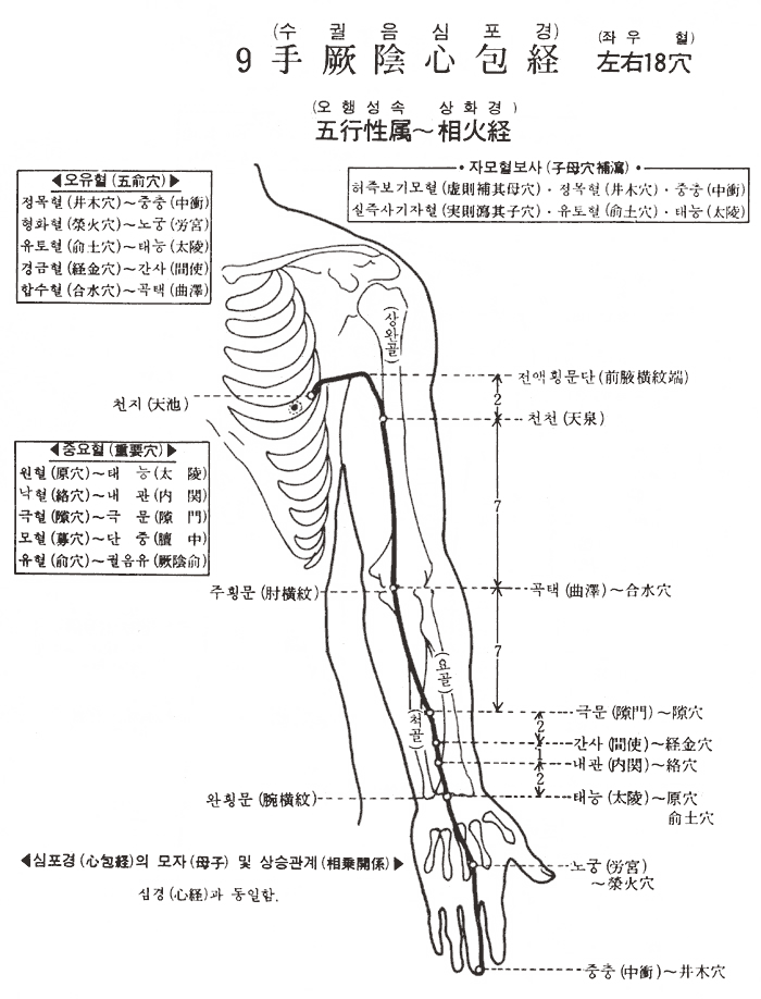 수궐음심포경