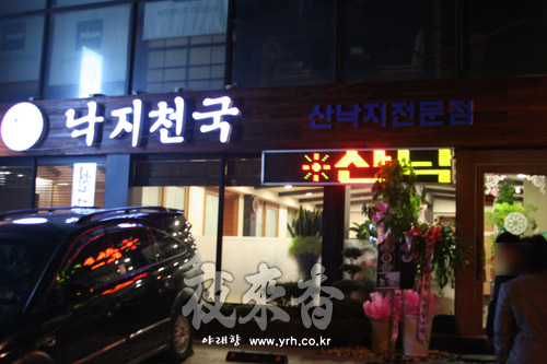 낙지천국 이미지