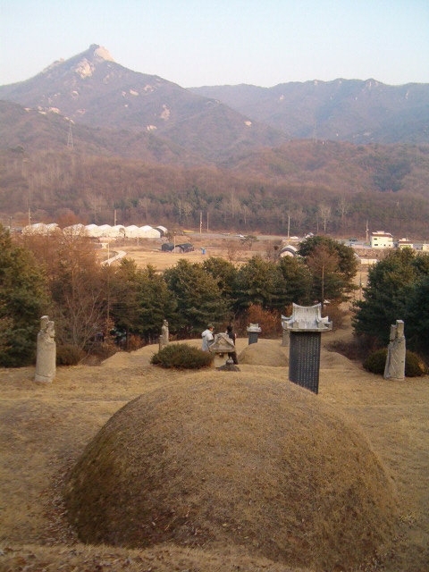 1116-3_tlstjrdnsla.jpg