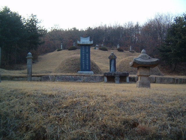 1116_tlstjrdnsla.jpg
