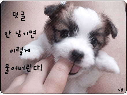 사십도 이미지