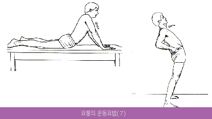 운동요법 이미지