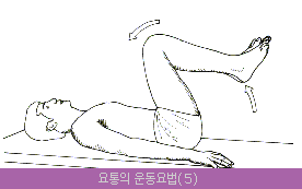 운동요법 이미지
