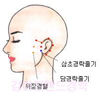 핸드경락 이미지