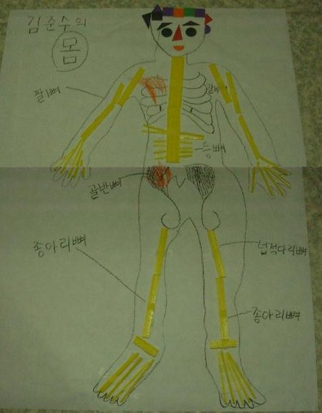 뼈대 이미지