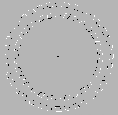 4.gif