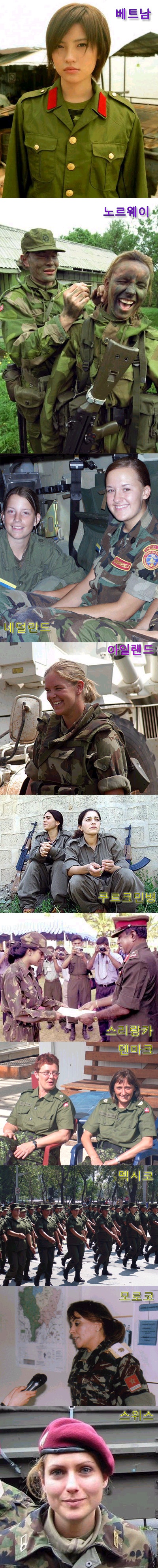 d52m_1.jpg