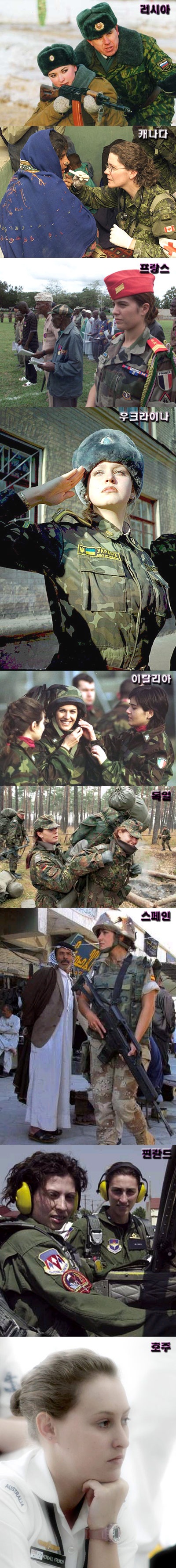 d52m_1.jpg